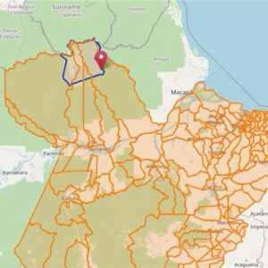 Ministério da Agricultura confirma foco de Vassoura-de-Bruxa da Mandioca em território indígena no norte do Pará