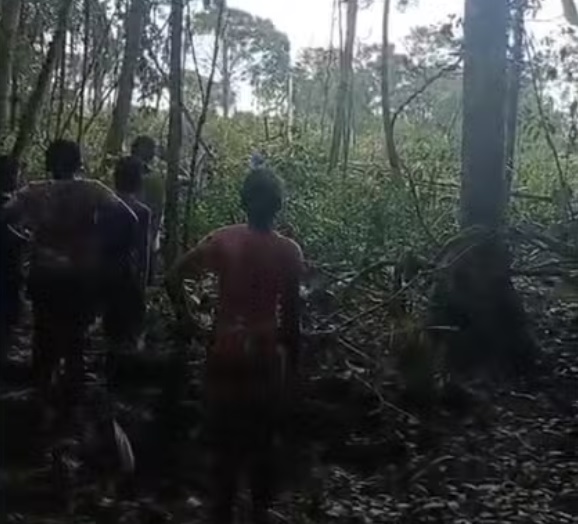 Território quilombola em Oiapoque é alvo de invasores