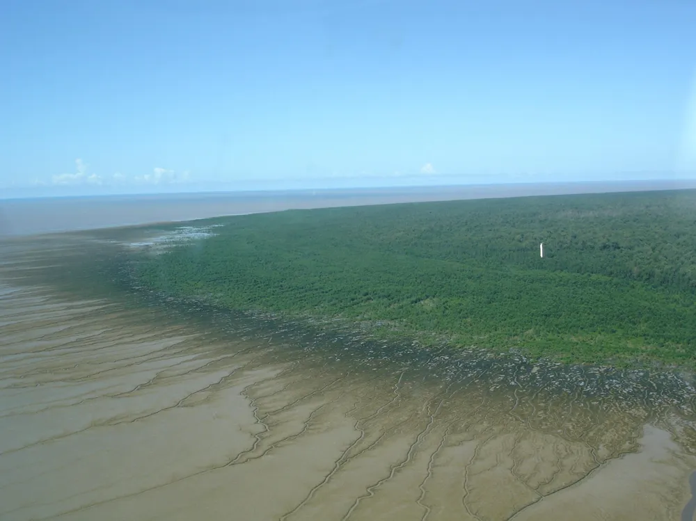 Amapá abriga em seu território a maior floresta tropical do mundo (Amazônia Verde) e a vasta área marinha (Amazônia Azul)