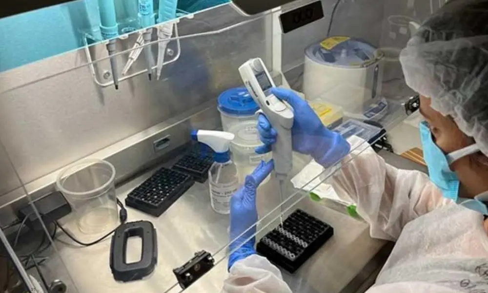 Centro de Informações Estratégicas em Vigilância em Saúde (Cievs Amapá), confirmou um caso de Raiva Humana