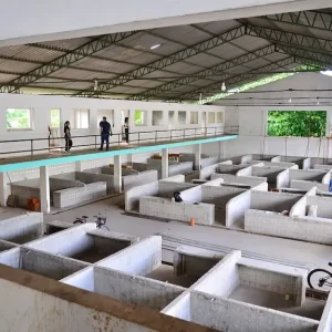 Governo do Amapá moderniza feiras do produtor em Macapá e Santana