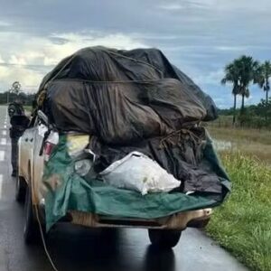 Polícia tentar encontrar outros envolvidos no roubo de grude de peixe em Calçoene-AP