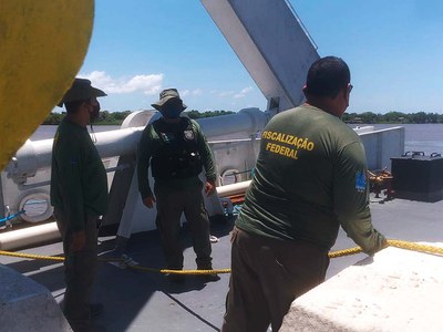 Frigorífico é suspeito de comercializar quase meia tonelada de cação pescado ilegalmente na costa do AP