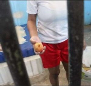 Relatório do MNPCT acusa Comunidade terapêutica no Amapá de trabalho forçado e retenção do Bolsa Família 