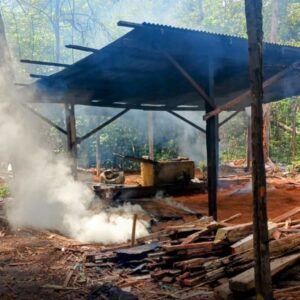 Produção ilegal de carvão é alvo de apreensão da PM no distrito da Fazendinha