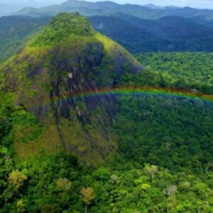 Governo do Amapá aprova projetos de guarda-parques para fortalecer proteção ambiental