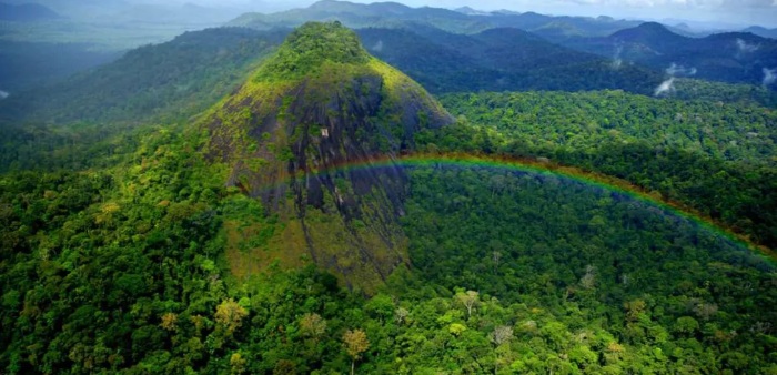 Governo do Amapá aprova projetos de guarda-parques para fortalecer proteção ambiental
