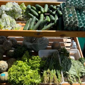 3ª Feira Tucuju da Agricultura Familiar fortalece produção rural e celebra cultura amapaense