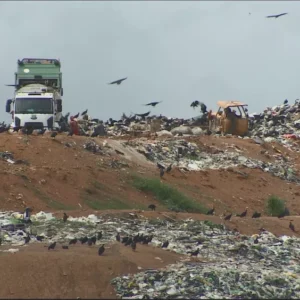 MPF entra com ação para suspender lixeira pública e incineração de resíduos em território quilombola em Macapá 