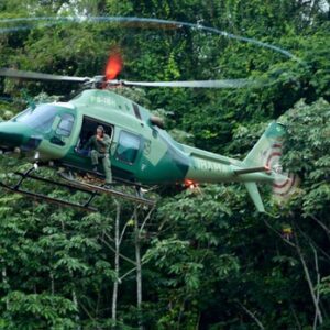 Ibama combate o garimpo ilegal na floresta das Árvores Gigantes