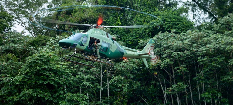 Ibama combate o garimpo ilegal na floresta das Árvores Gigantes