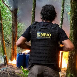 ICMBio reforça combate ao garimpo ilegal para proteger árvores gigantes da Amazônia
