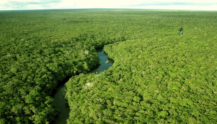 Justiça anula títulos de mineração irregulares na Flota e obriga ANM a impedir novas concessões