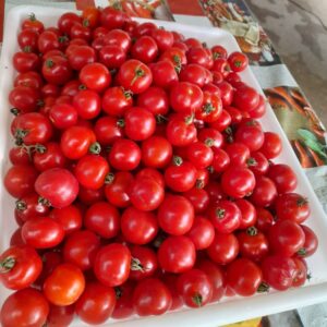 Seminário fortalece a produção orgânica, agroecológica e hortifrutigranjeira no Amapá