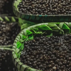 Açaí escapa do tarifaço dos EUA e garante alívio para produtores e exportadores do Amapá