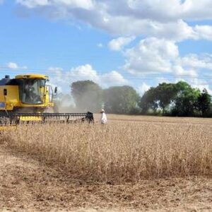 Amapá lidera ranking nacional de inadimplência no agronegócio