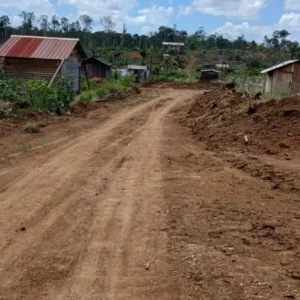 Petróleo: Em Oiapoque áreas de floresta têm sido desmatadas para dar lugar a barracos e moradias