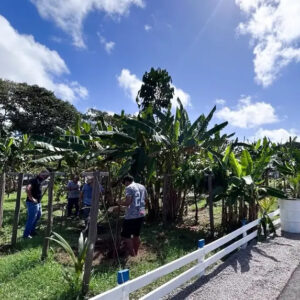 Arena do Agro será destaque da Expofeira 2026 com serviços e apoio ao produtor rural
