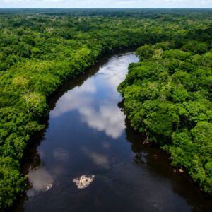 Pressão sobre áreas protegidas: Floresta Nacional do Amapá tem 62 pedidos de mineração 
