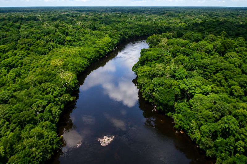 Pressão sobre áreas protegidas: Floresta Nacional do Amapá tem 62 pedidos de mineração 