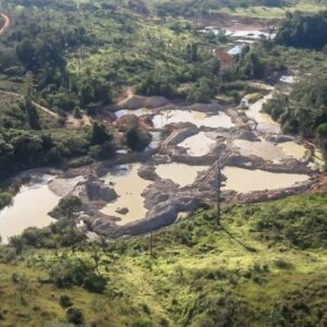 MPF soma R$ 893 milhões em condenações por danos ambientais no Pará, Amapá e Mato Grosso
