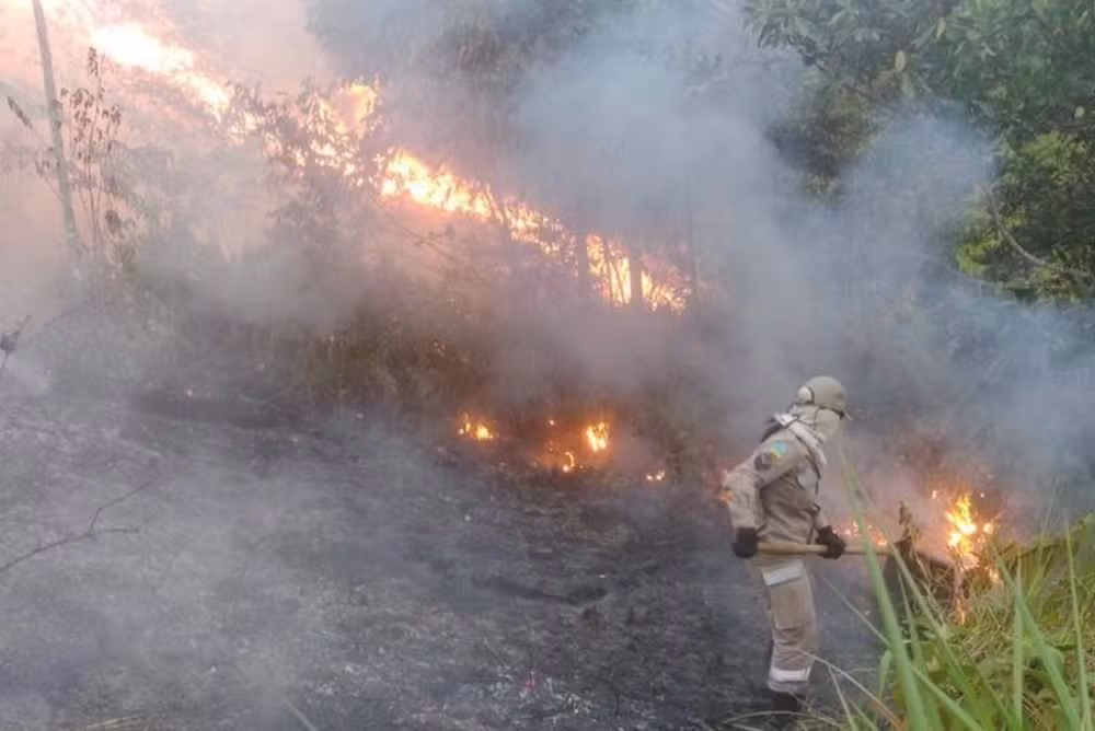 El Niño: Censipam acende alerta para seca e incêndios florestais no Amapá