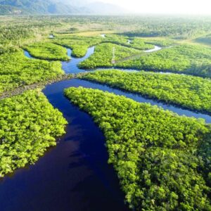 Ambientalistas criticam a exploração de petróleo no Amapá