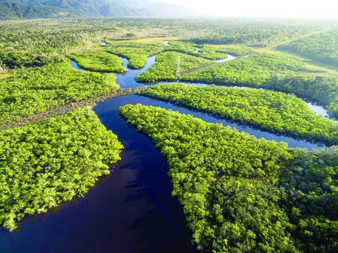 Ambientalistas criticam a exploração de petróleo no Amapá