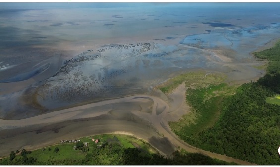 Costa do Amapá é uma das mais afetadas pelo aumento do nível do mar no Brasil, aponta estudo