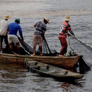 Amapá registra aumento de quase 50% nos beneficiários do seguro-defeso e entra no radar do TCU
