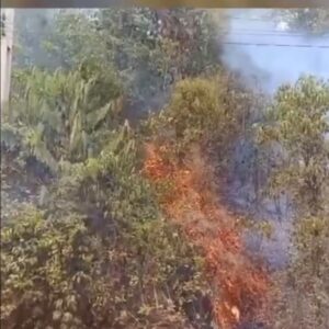 Queimada destrói mais de um quilômetro de fibra óptica e prejudica comunicação em Vitória do Jari