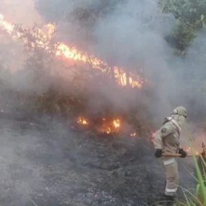 Governo do Amapá intensifica prevenção a incêndios