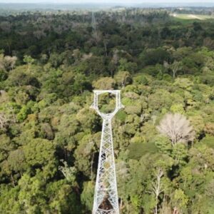 Justiça proíbe operação de linha de transmissão no Amapá sem consulta a quilombolas