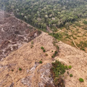 El Niño: dados do Cemaden apontam para seca severa em municípios do Amapá