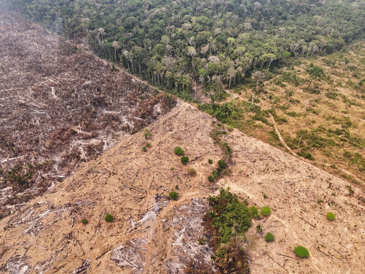 El Niño: dados do Cemaden apontam para seca severa em municípios do Amapá